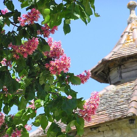 Bed and Breakfast Domaine De L'Isle Basse Fontanes  Exterior foto