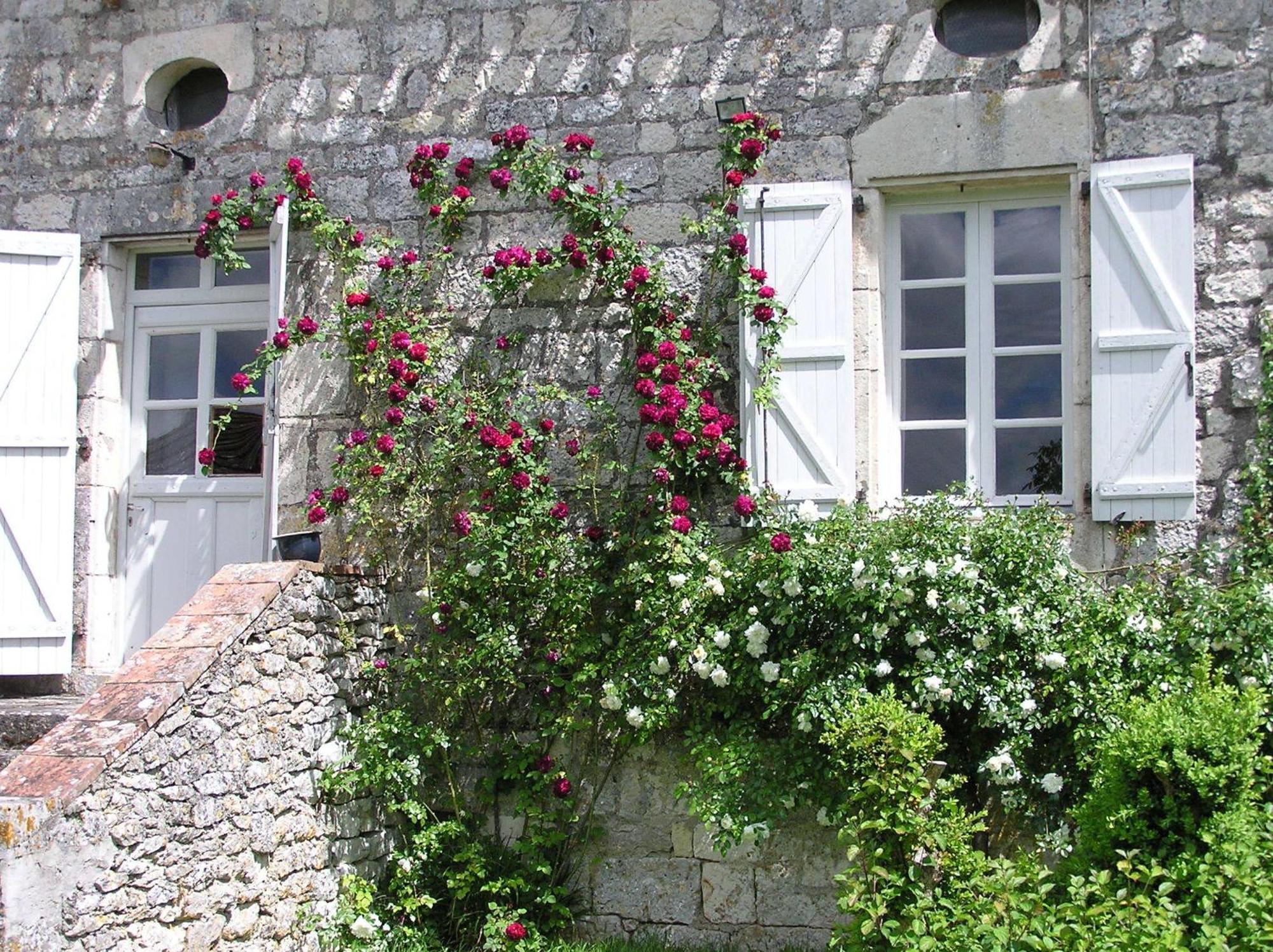 Bed and Breakfast Domaine De L'Isle Basse Fontanes  Habitación foto